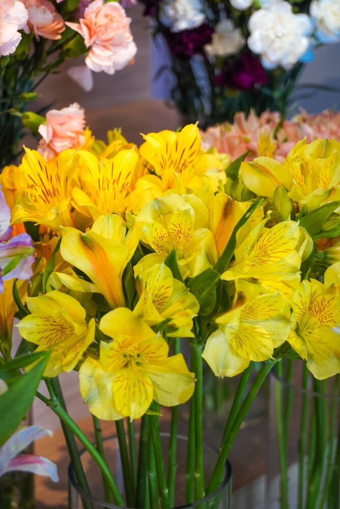 Buquê de girassóis vibrante feito à mão pela Ceiça Flores