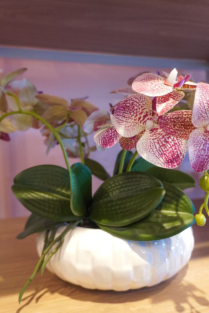 Arranjo floral em caixa rústica com rosas e margaridas